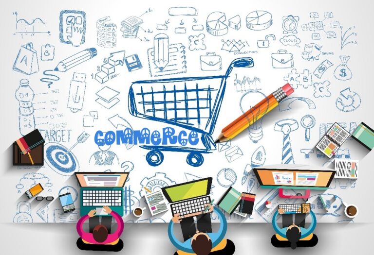 B.Com Commerce with Computer Application